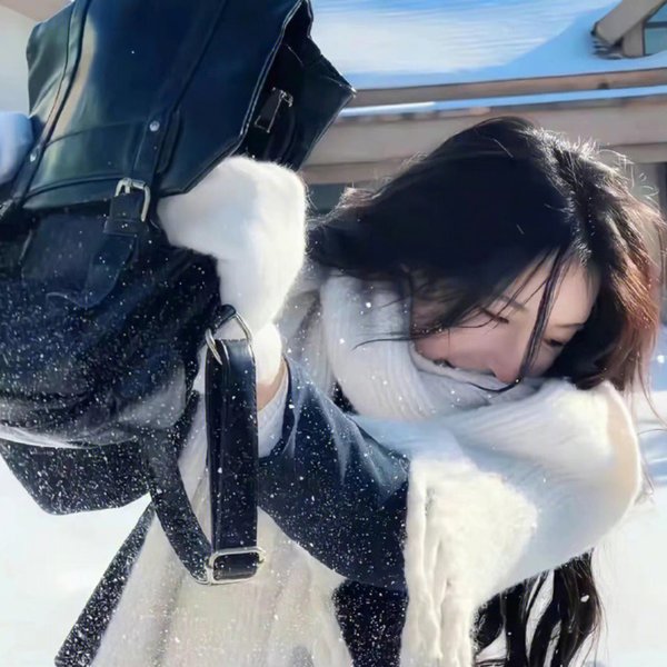没人瞭波斯猫